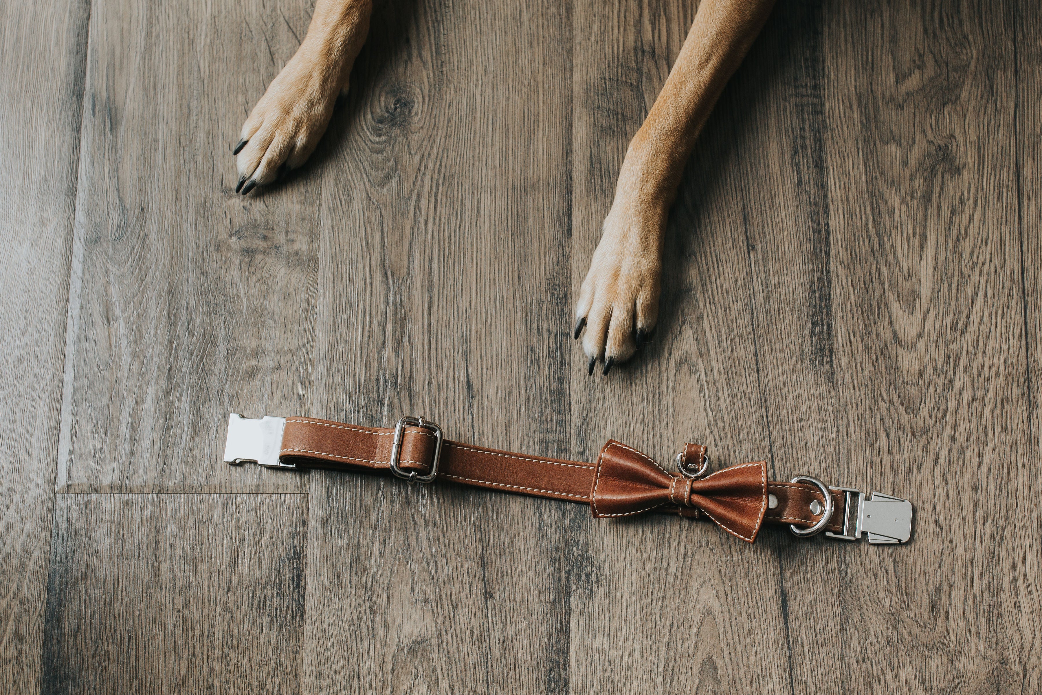 Bow tie Thin Soft Leather Pet Collar